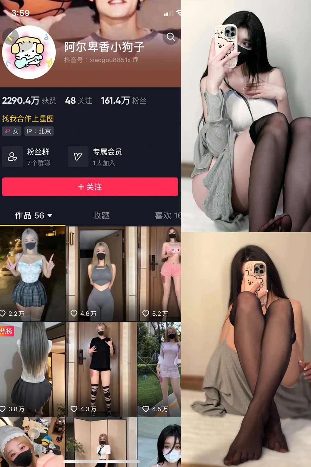 阿尔卑香小狗子