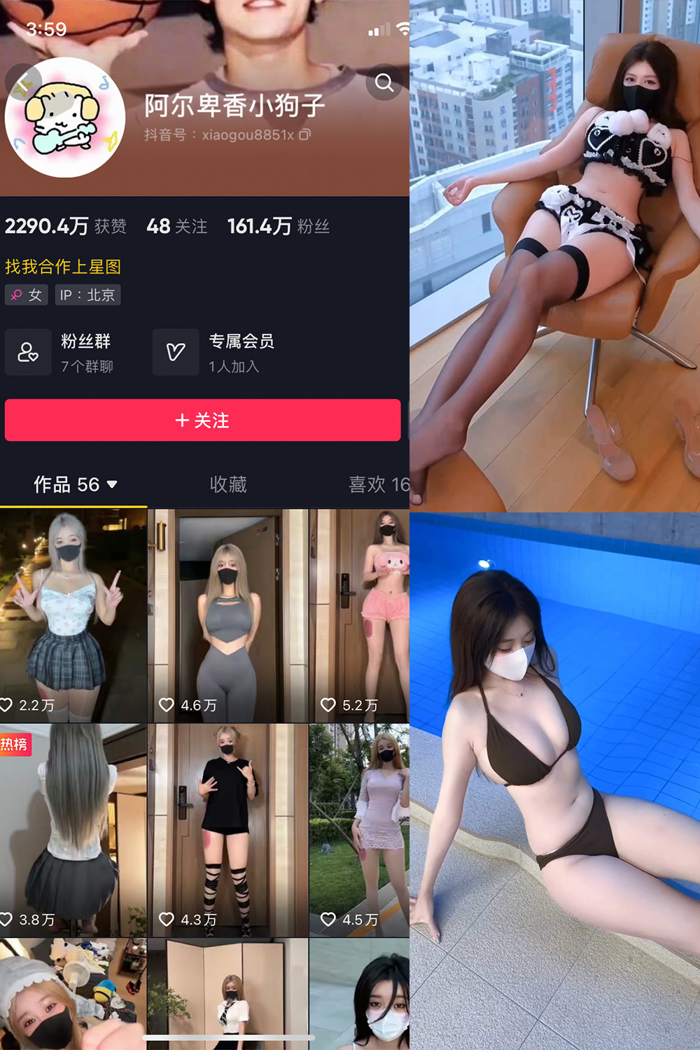 阿尔卑香小狗子